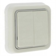 Двухклавишный переключатель IP55 скрытый монтаж Legrand Plexo, белый